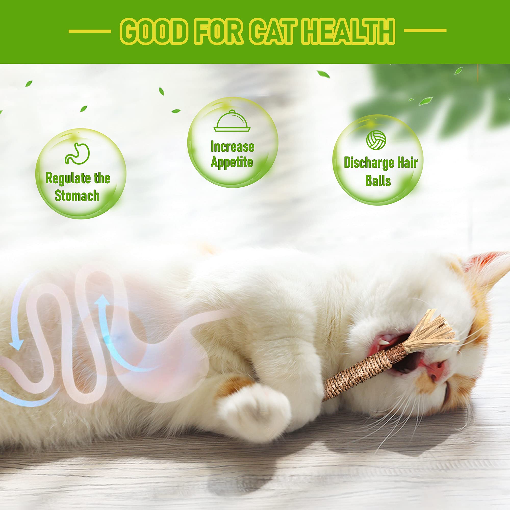 Silvervine Sticks Cat Chew Jouets pour les chats intérieurs soins dentaires nettoyage des dents
