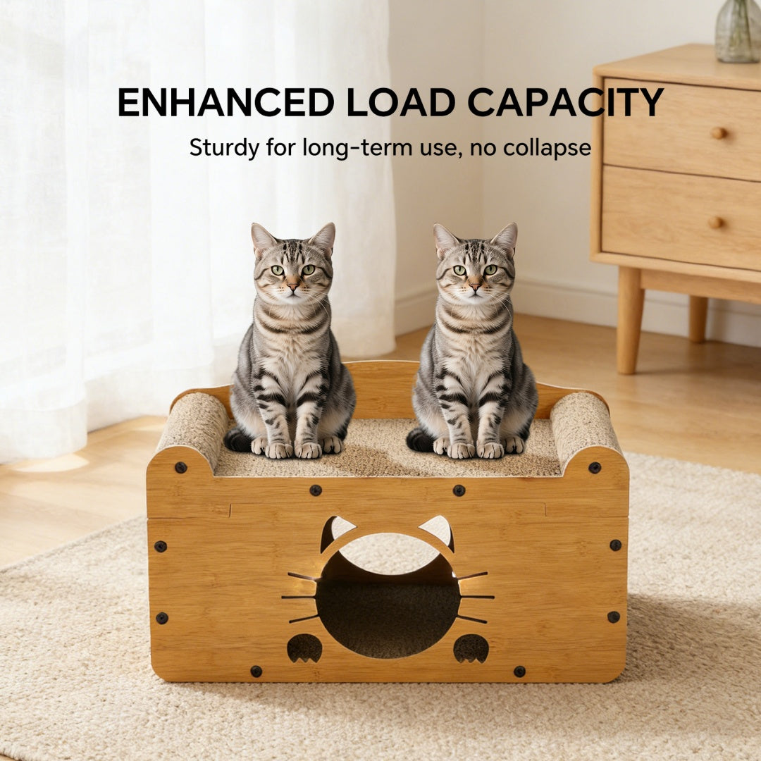 Un seul auto-pickup--C Sofa Bered Cat 56
