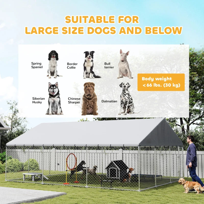 Kennel de chien extérieur robuste avec toit imperméable