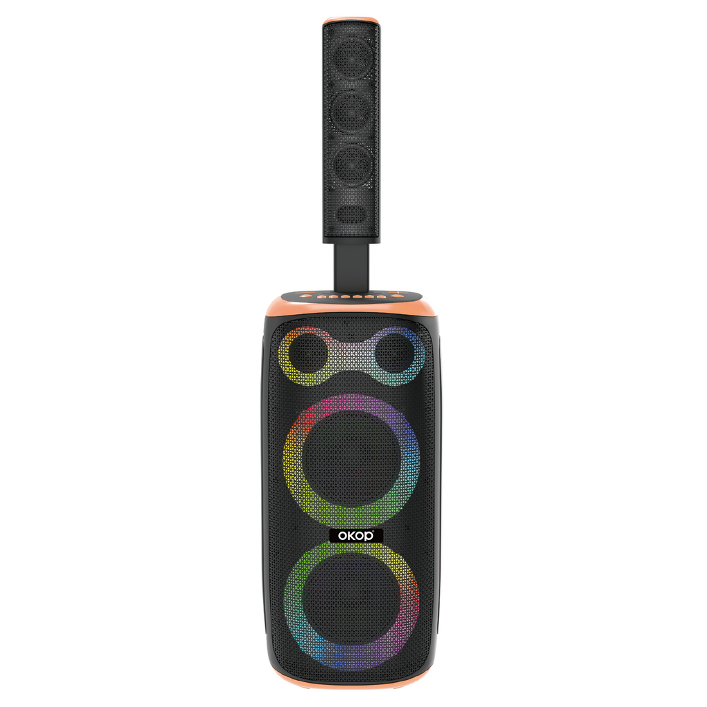 KP-8009 Haut-parleur Bluetooth sans fil 120W Haut-parleur double microphone haute puissance Karaoké Portable Outdoo