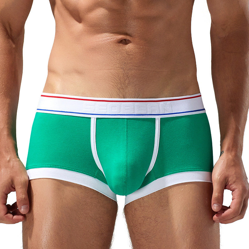 Sous-vêtements Cotton Boxer Youth Low Waist Panties Boxers pour hommes
