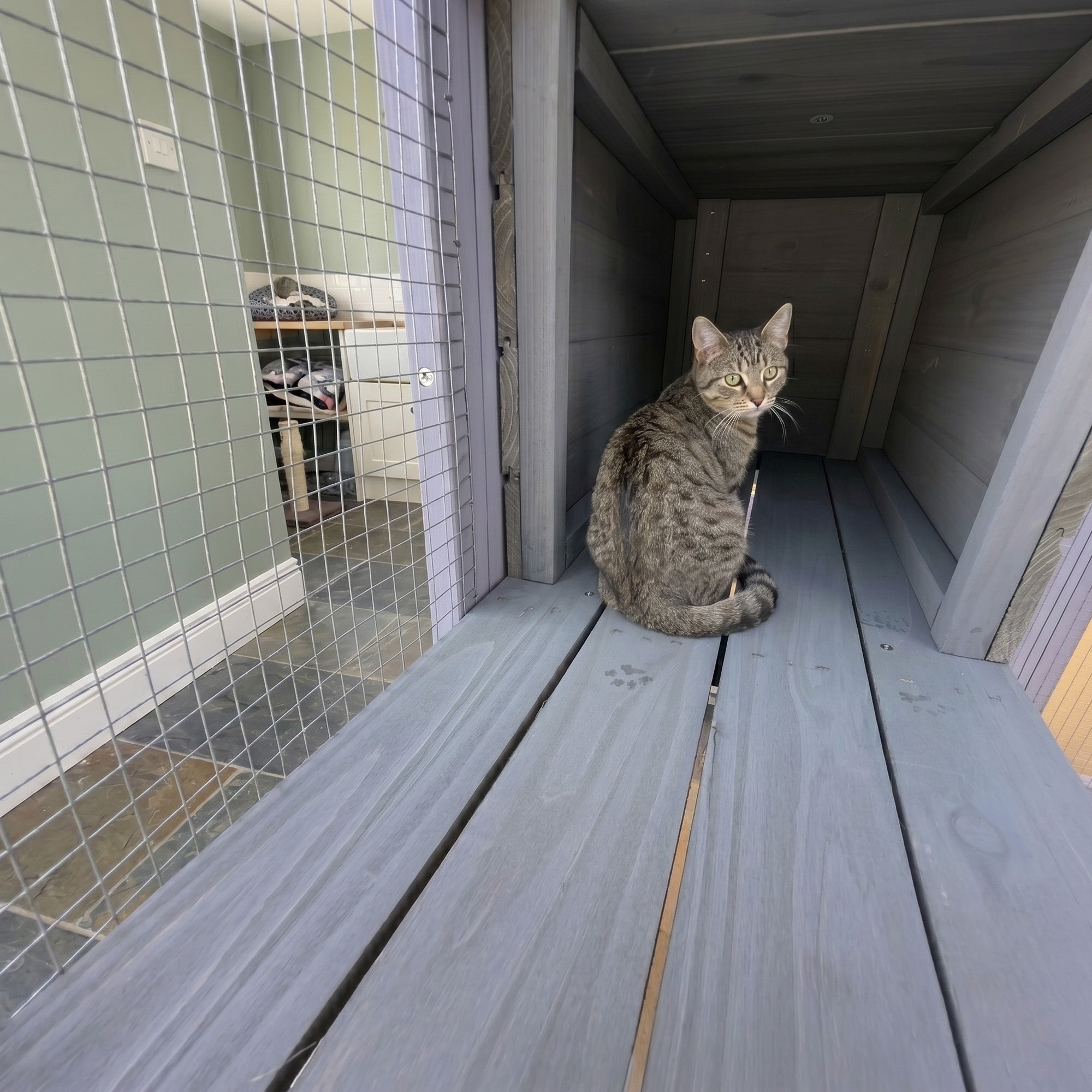 Catio en bois de 62.6" pour chats