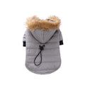 Vêtements d'hiver populaires pour animaux de compagnie