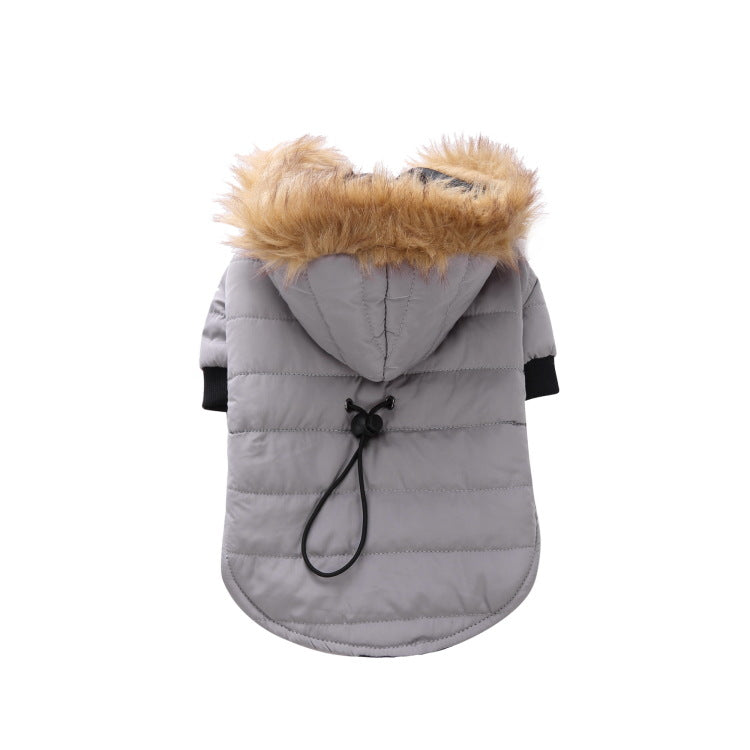 Vêtements d'hiver populaires pour animaux de compagnie