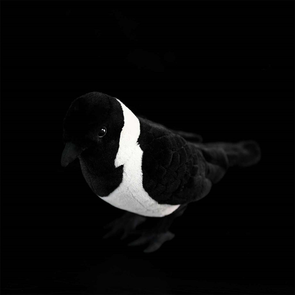 Da Wu Li Western Jouet en peluche Jackdaw