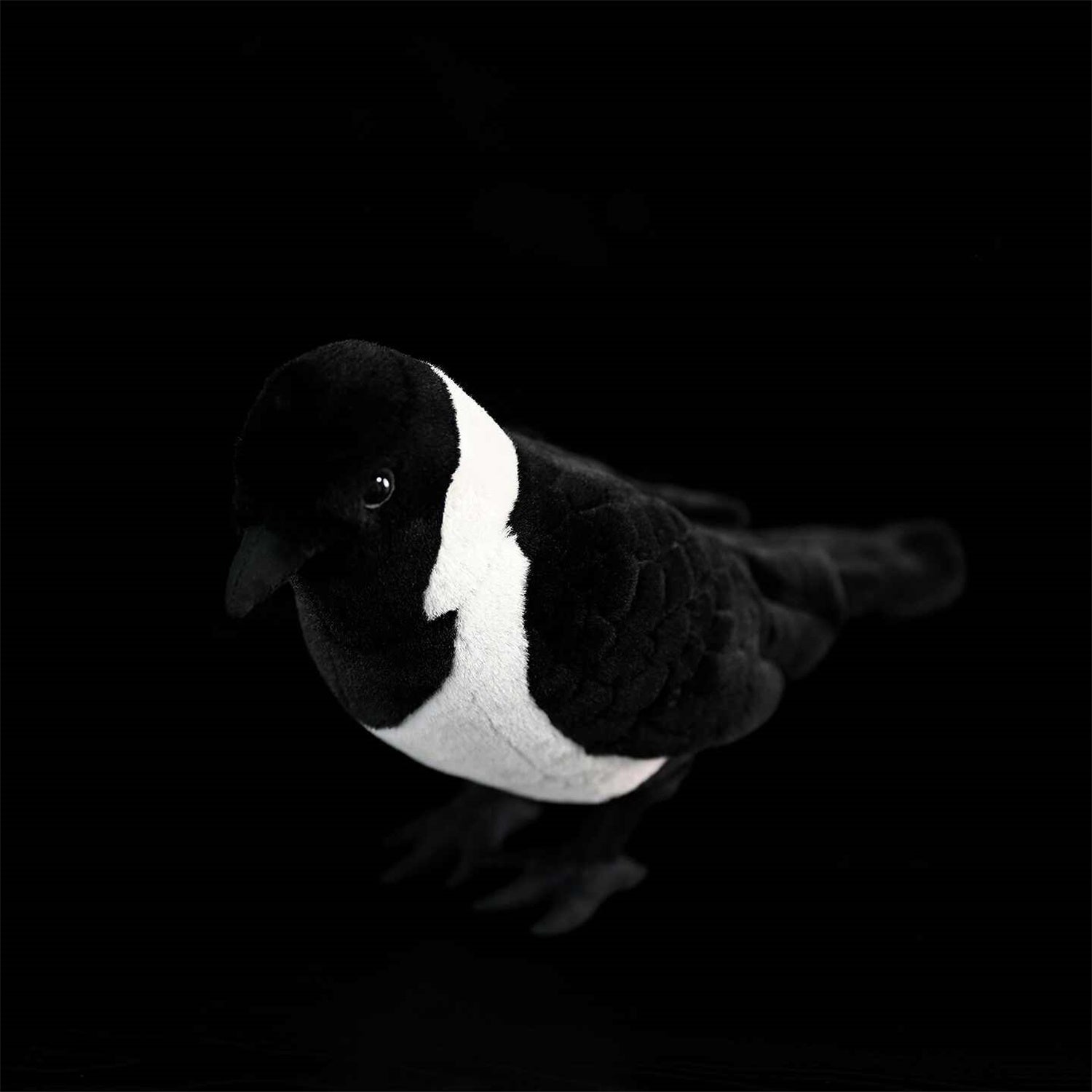Da Wu Li Western Jouet en peluche Jackdaw
