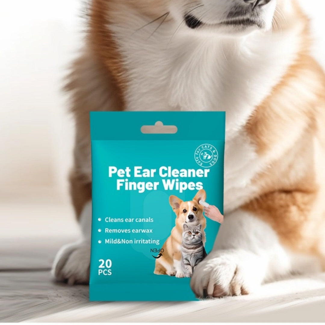 Chien de chat oreille dents nettoyage doigt Stall