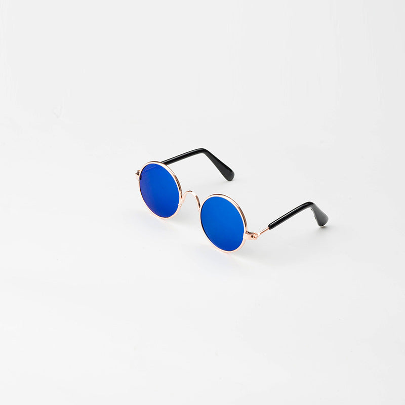 Lunettes de soleil pour chats