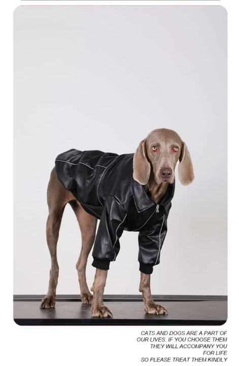 Vêtements de chien pour les races moyennes à grandes Veste en cuir noir automne pour les Labradors