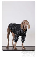 Vêtements de chien pour les races moyennes à grandes Veste en cuir noir automne pour les Labradors