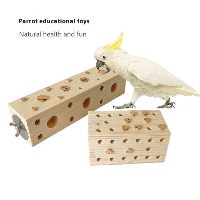 Jouet éducatif pour le perroquet