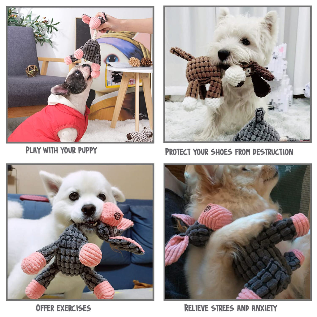 3 Pack de jouets de chien Squeaky