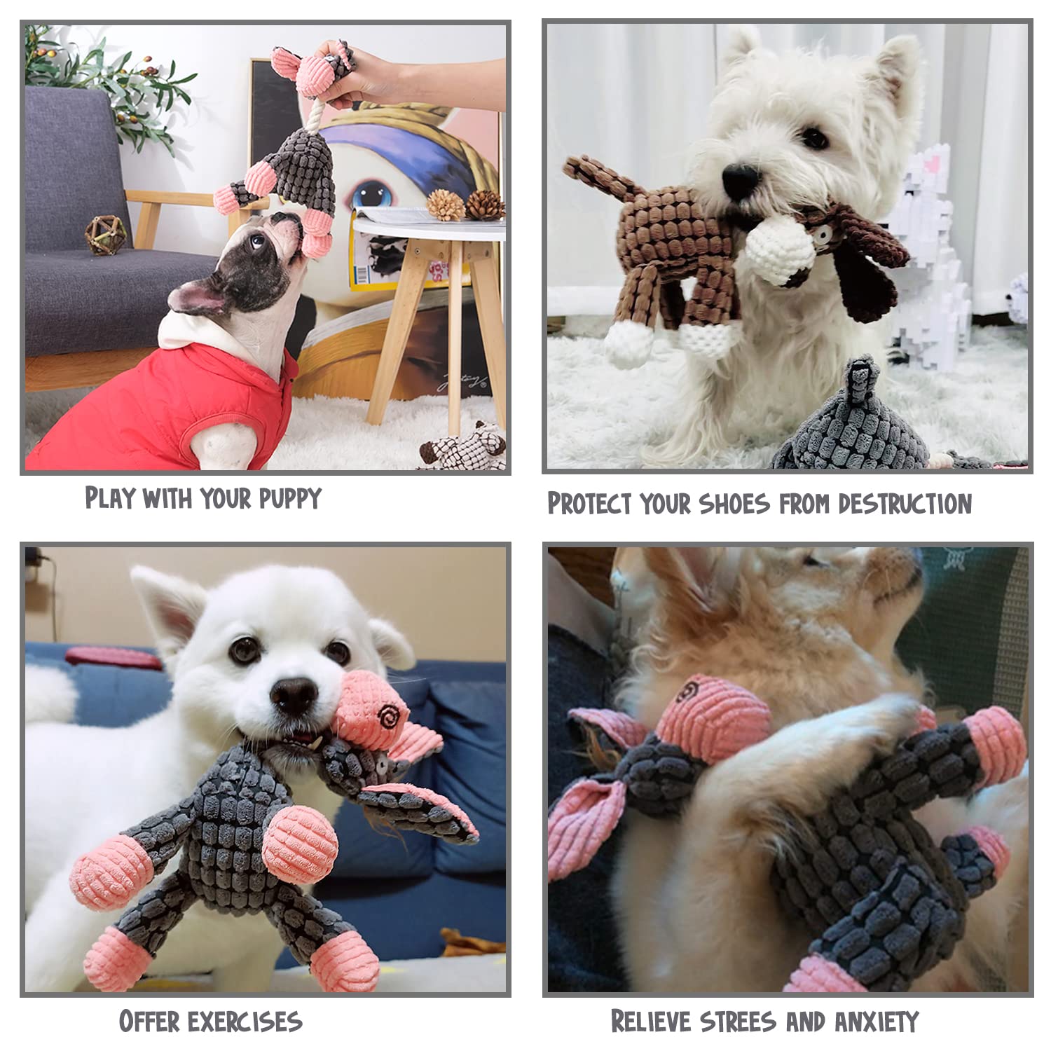 3 Pack de jouets de chien Squeaky