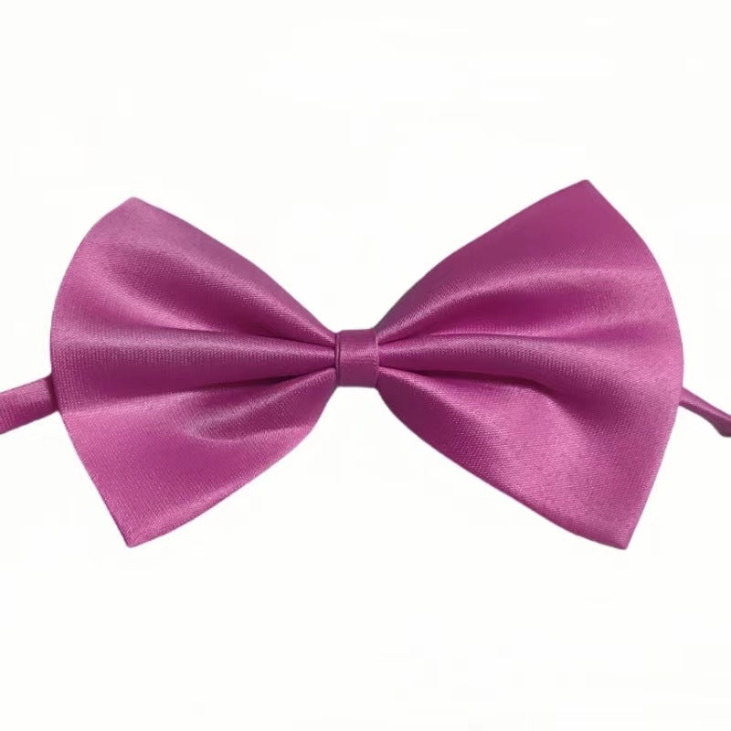 Collier pour animal de compagnie en couleur solide simple