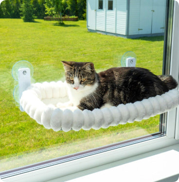 Chat Hammock Pet Chat Nest Balcon Verre