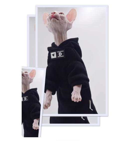 Chandail d'hiver de style street pour chats sans cheveux doux Sphynx Vêtements de chat