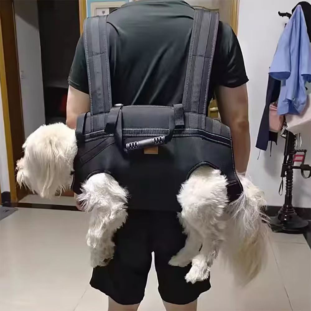 Pet Chest Bag Cyclisme Sac à dos Vélo Riding Dog Walking Harness Grand Chien Riding Respirant