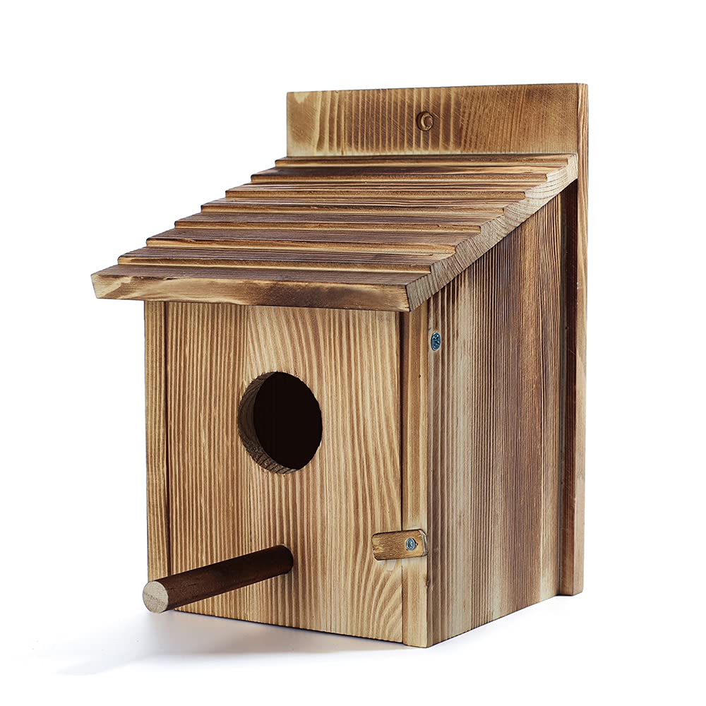 Maison d'oiseaux en bois pour l'extérieur
