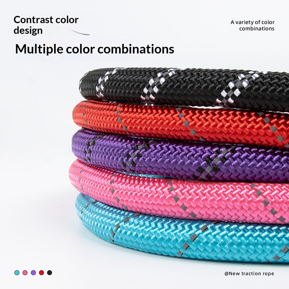 Explosion-Proof Reflective Pet Bungee Leash
