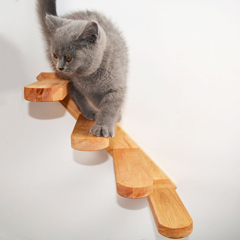 Chats Escaladeuses sur murs en bois massif