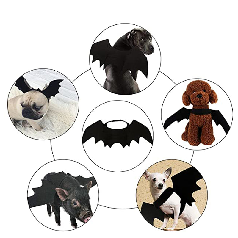 Halloween Créative Halloween Chat Chat Petits chiens Bat Wings Halloween Chat Wings Accessoires