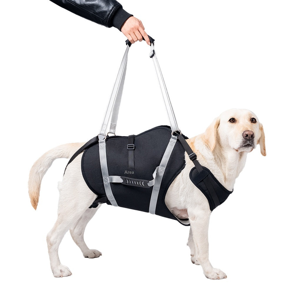 Harnais imperméable moyen à grand chien avec pinces réglables