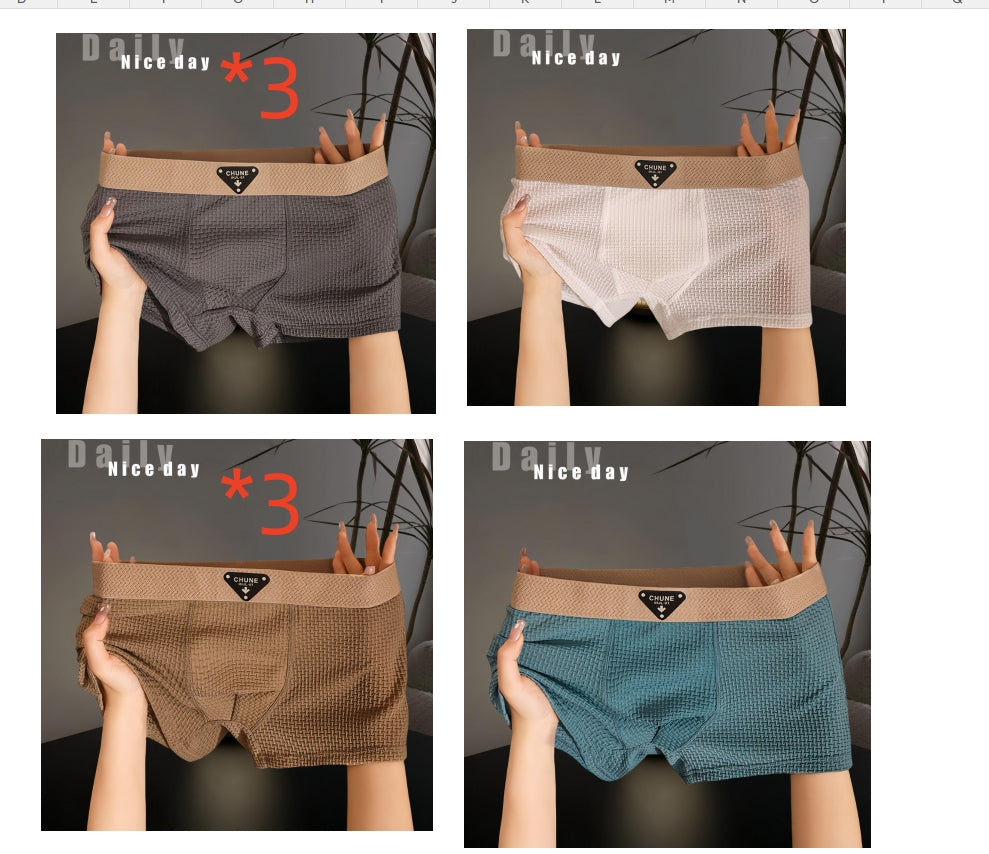 Sous-vêtements en soie de glace pour hommes Fashion Sport Boxer