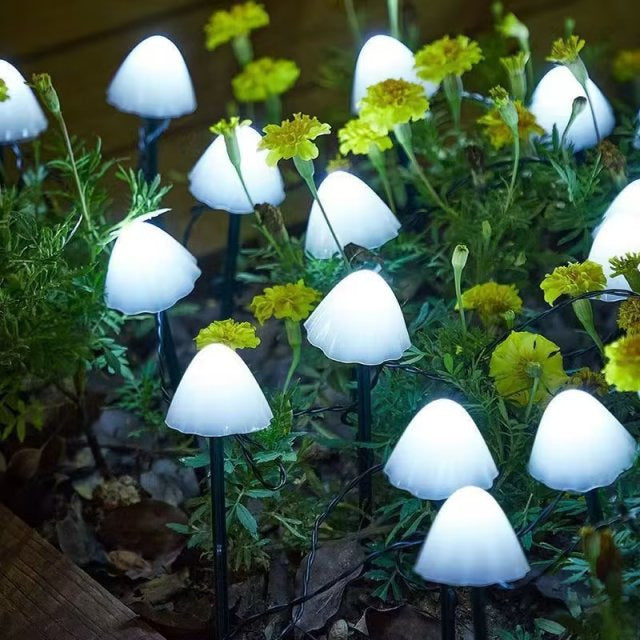 Lumières de chemin de champignons à LED à énergie solaire