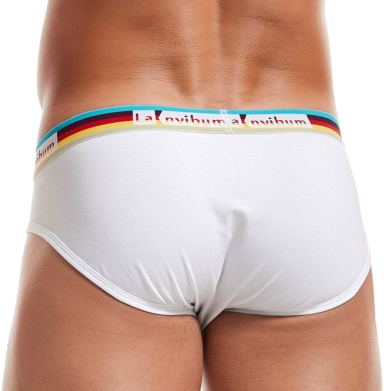 Slips en coton Rainbow Rubber Band