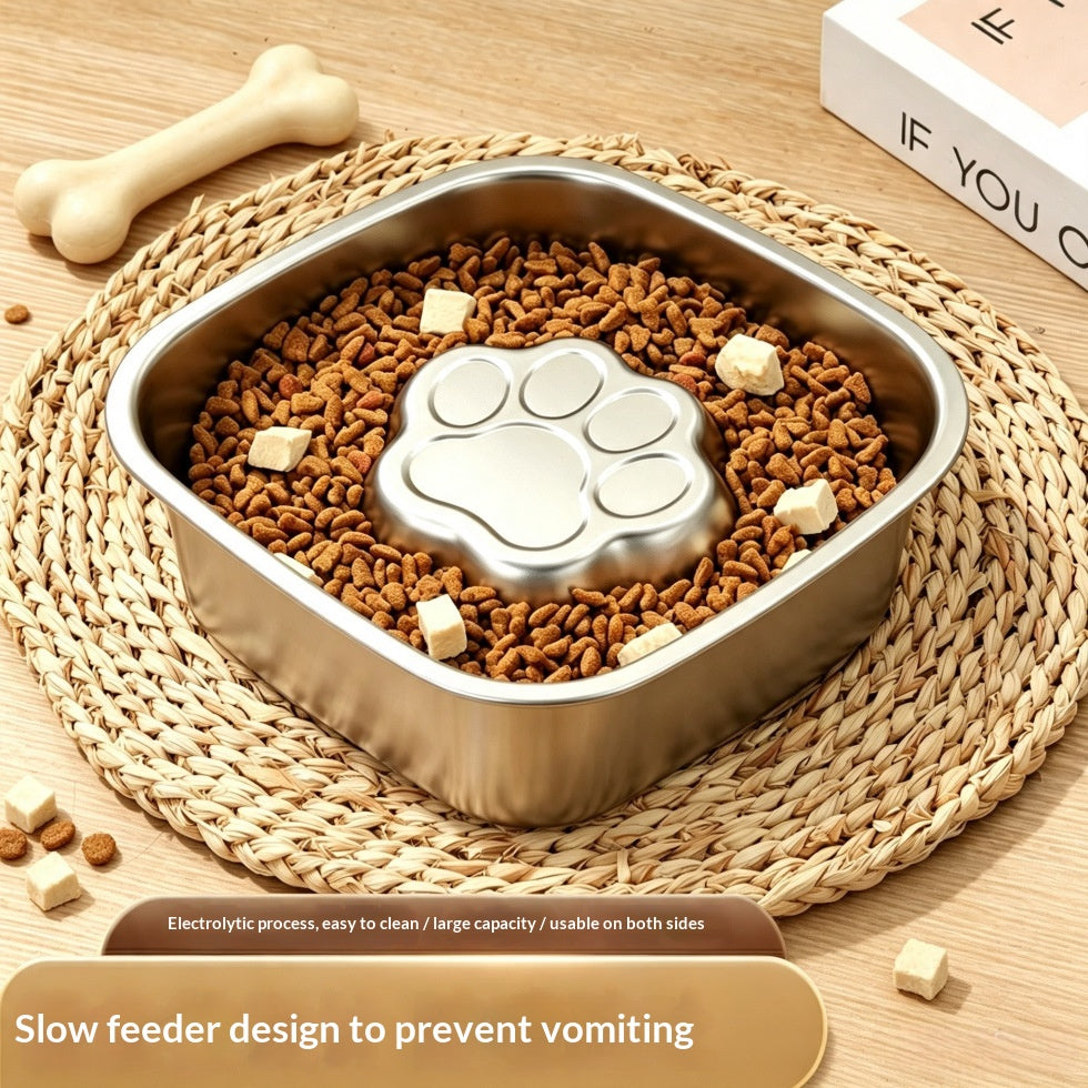 Épaisseur en acier inoxydable pour animaux de compagnie à alimentation lente