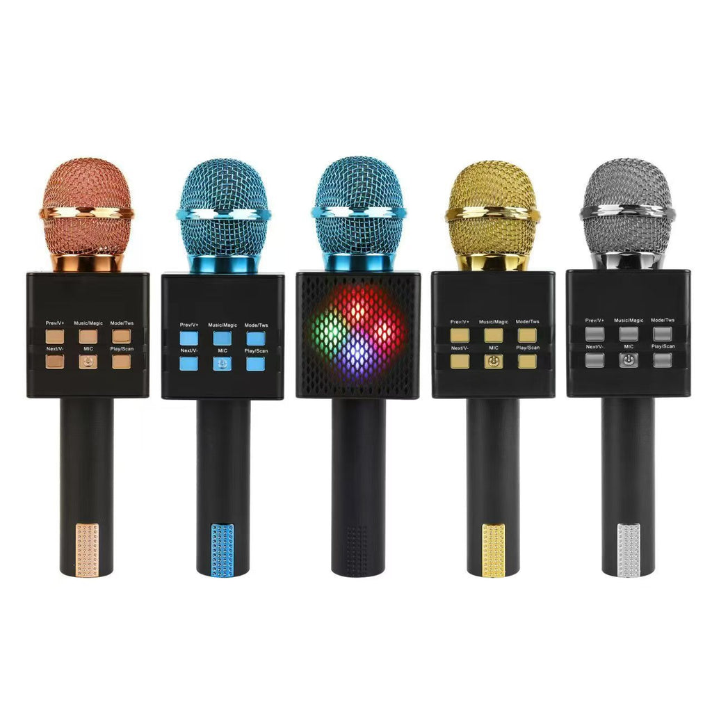 Système audio portatif tout-en-un sans fil Bluetooth Condenseur Microphone