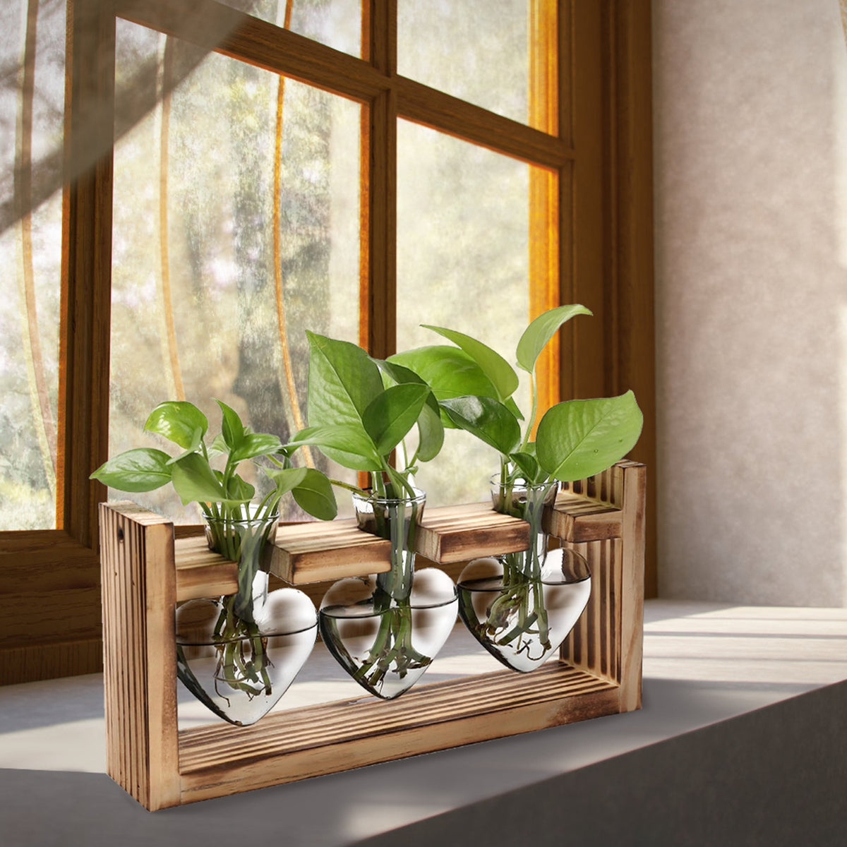 1Pc Station de propagation du terrarium avec 3 vases en forme de coeur Support en bois Bureau Air