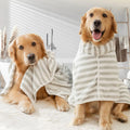 Serviette de bain pour chien ultra-absorbant pour chien