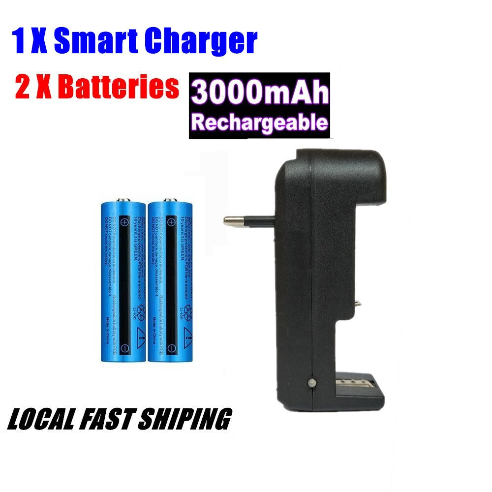 Chargeur de batterie avec batteries Li-ion 18650 3.7V 3000 mAh
