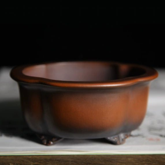 Penke Ceramics Premium Clay Pots de bureau Thé et Bonsai