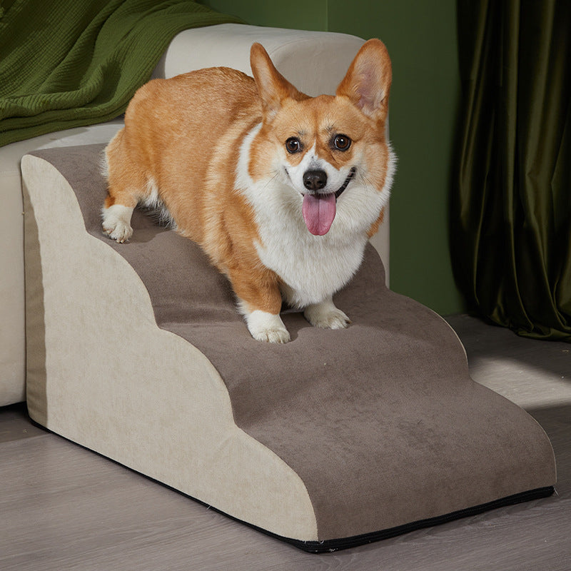 Échelle de chien de chien antidérapante