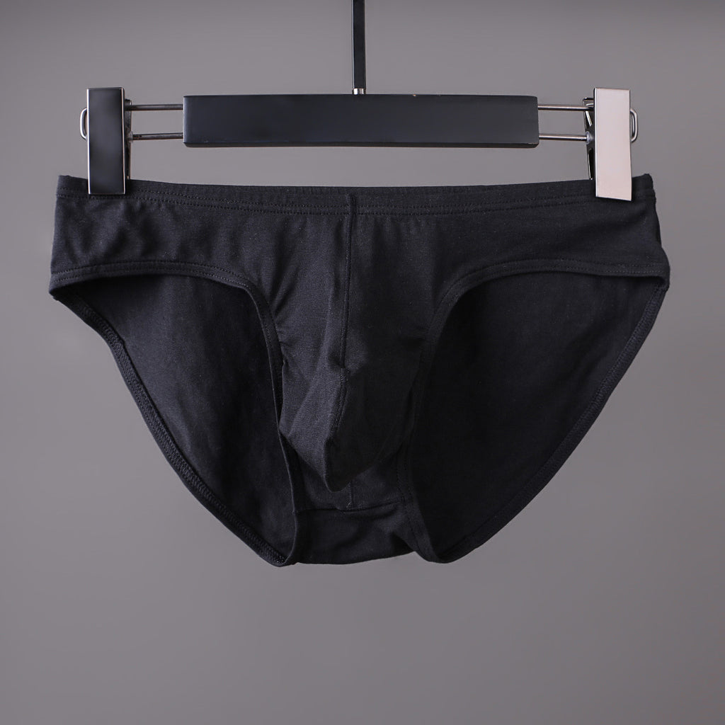 Sous-vêtements en coton Triangle pour hommes Basse taille Sexy U Pouch