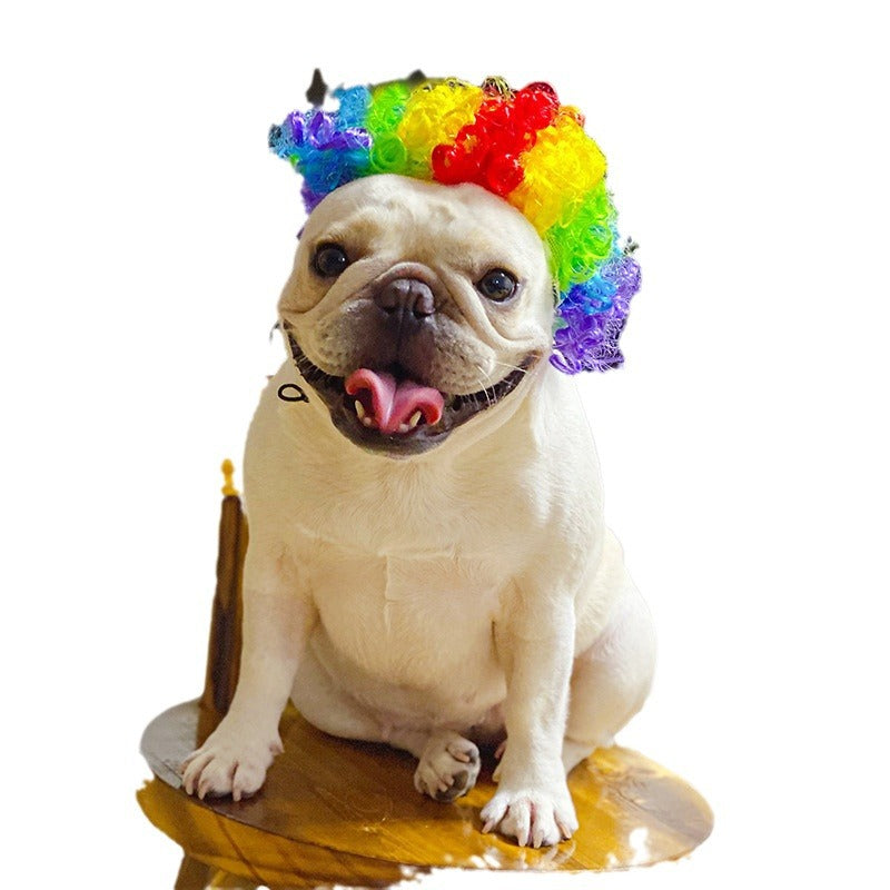 Coiffure de chien