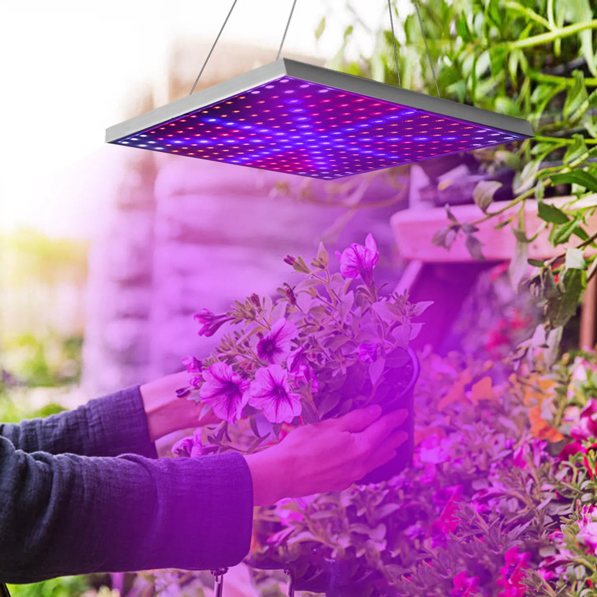 LED Grow lumière pleine spectre suspension 225 LEDs Plant Grow lampe intérieur Grow lumière pour Greenh