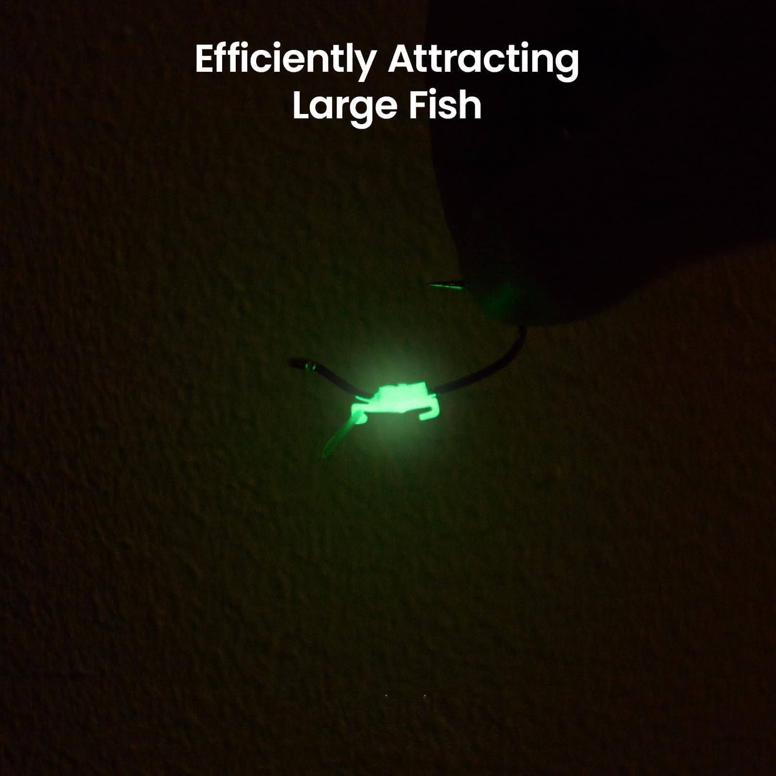Pêche de plein air Crevettes lumineuses retour Fermoir