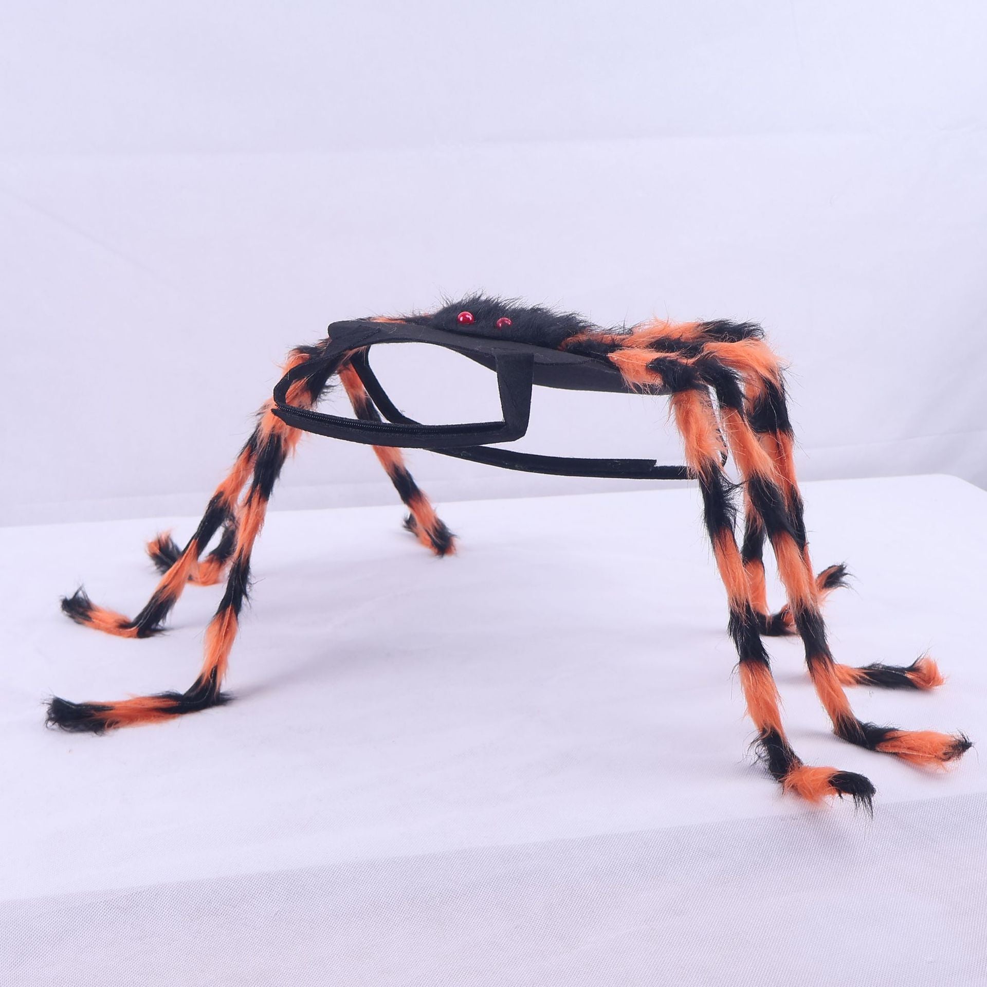Déguisement Halloween Pet Spider Style américain