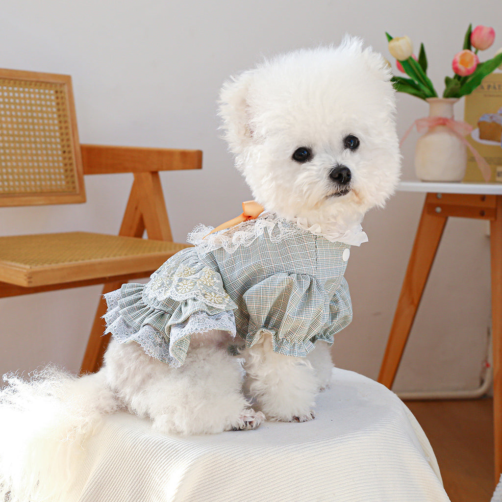 Jupe en dentelle pour petit chien de style court