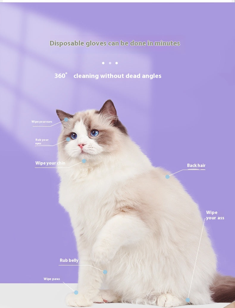 Nettoyage à sec Désinfecter le papier Déodorant Aliments pour animaux Gants jetables pour animaux