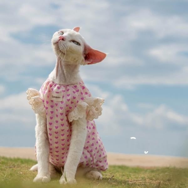 Sphynx Cat robe de coton d'été avec coeurs et vêtements de dentelle pour chats sans cheveux Devon Rex