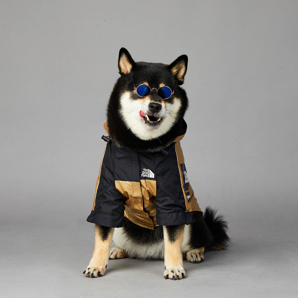 Veste imperméable et coupe-vent pour grand chien