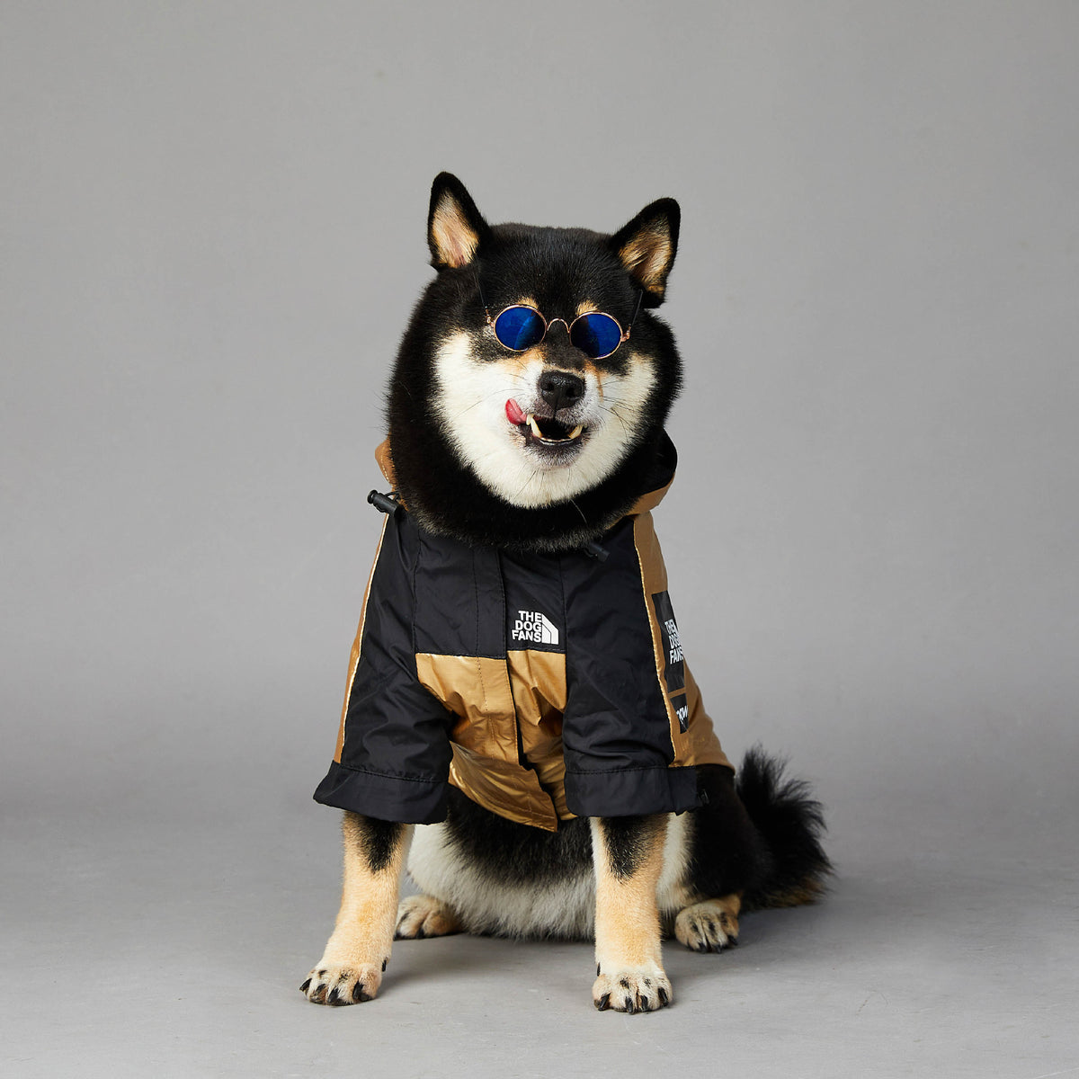 Veste imperméable et coupe-vent pour grand chien