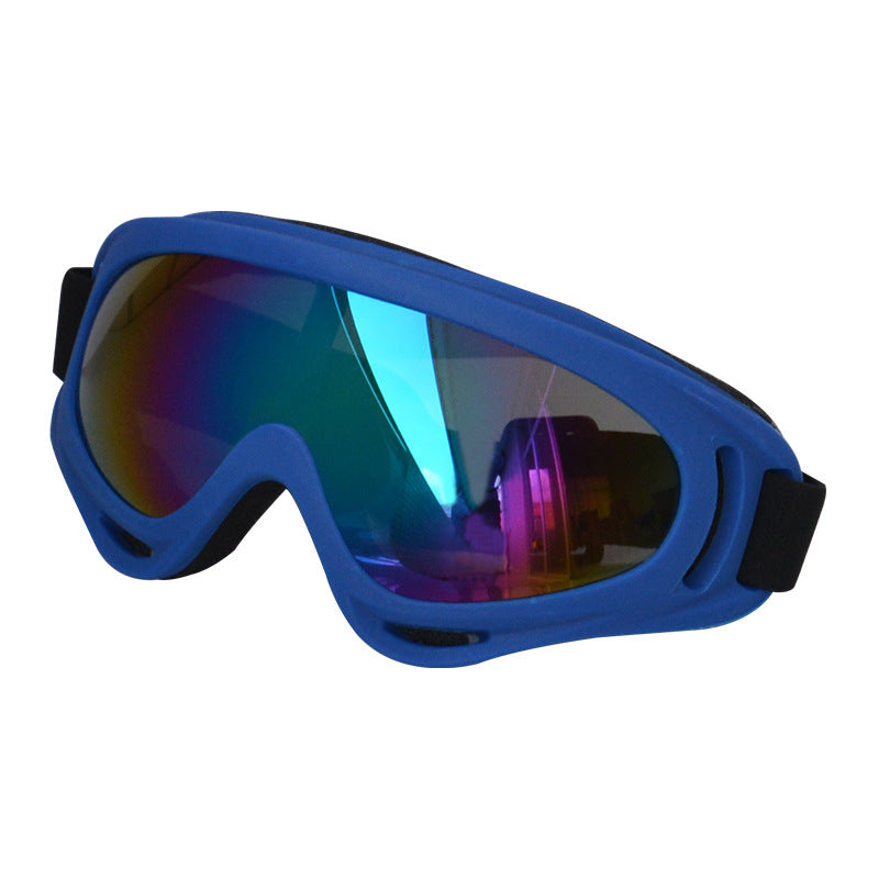 Lunettes de soleil extérieures pour chiens Décoration