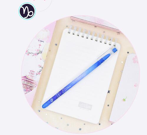Stylo à gel à séchage rapide 12 constellations