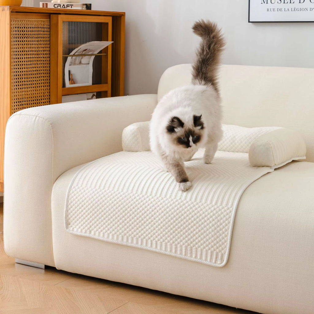 Summer bed for dogs and cats