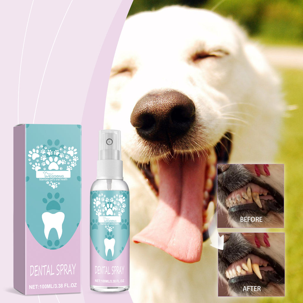 Vaporisateur de dents pour animaux de compagnie